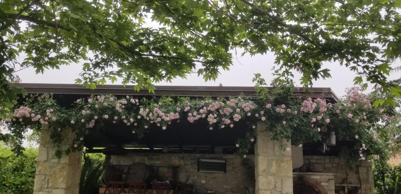 Country House Bubullime Albania Lushnje Экстерьер фото