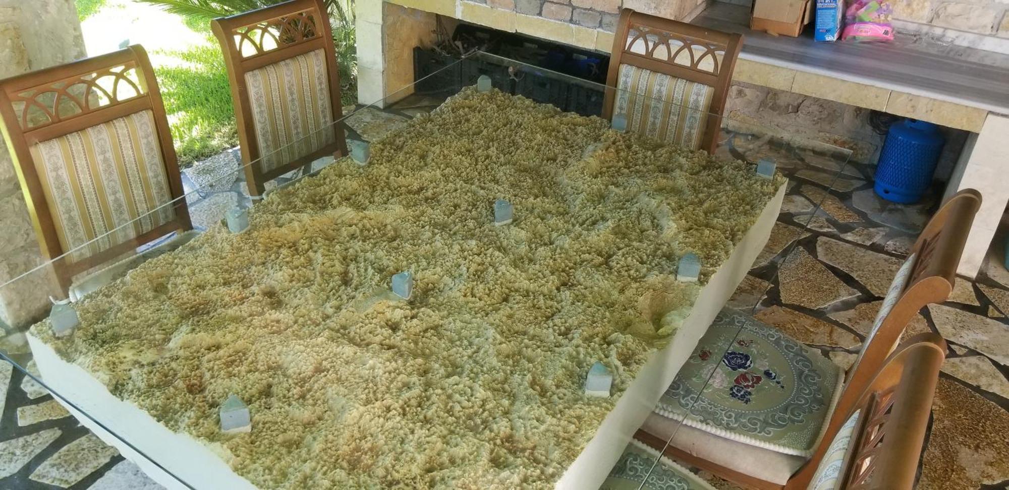 Country House Bubullime Albania Lushnje Экстерьер фото