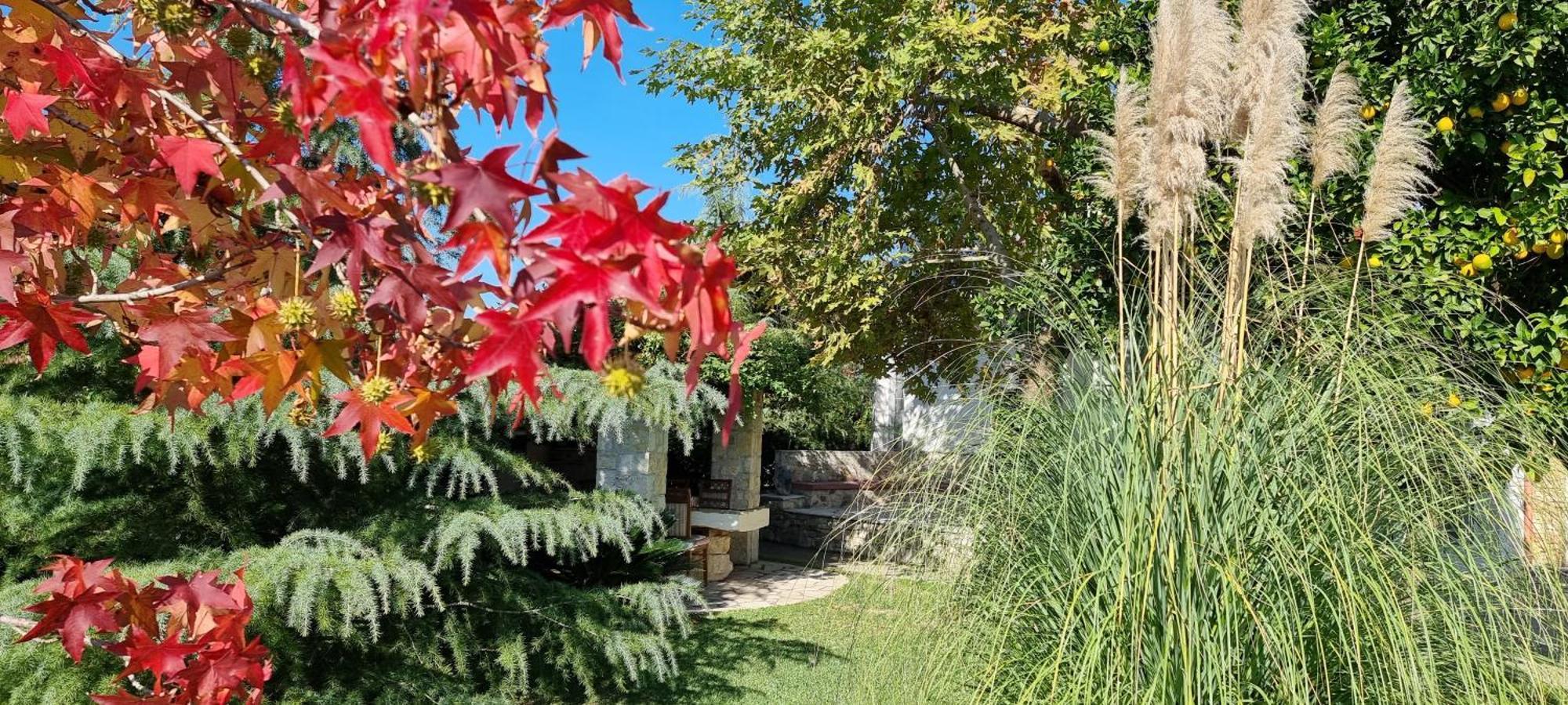 Country House Bubullime Albania Lushnje Экстерьер фото